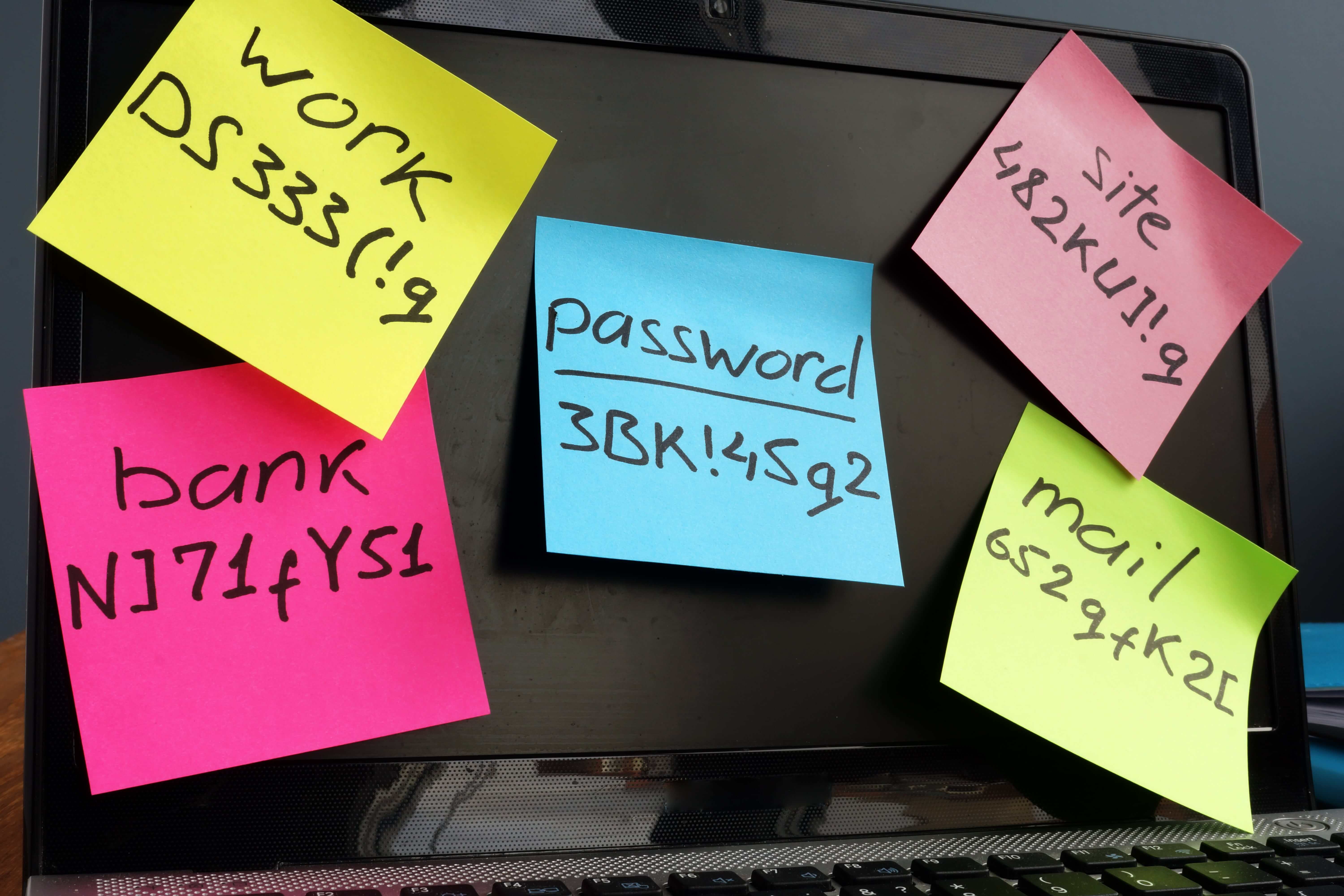 Top Password Manager Providers