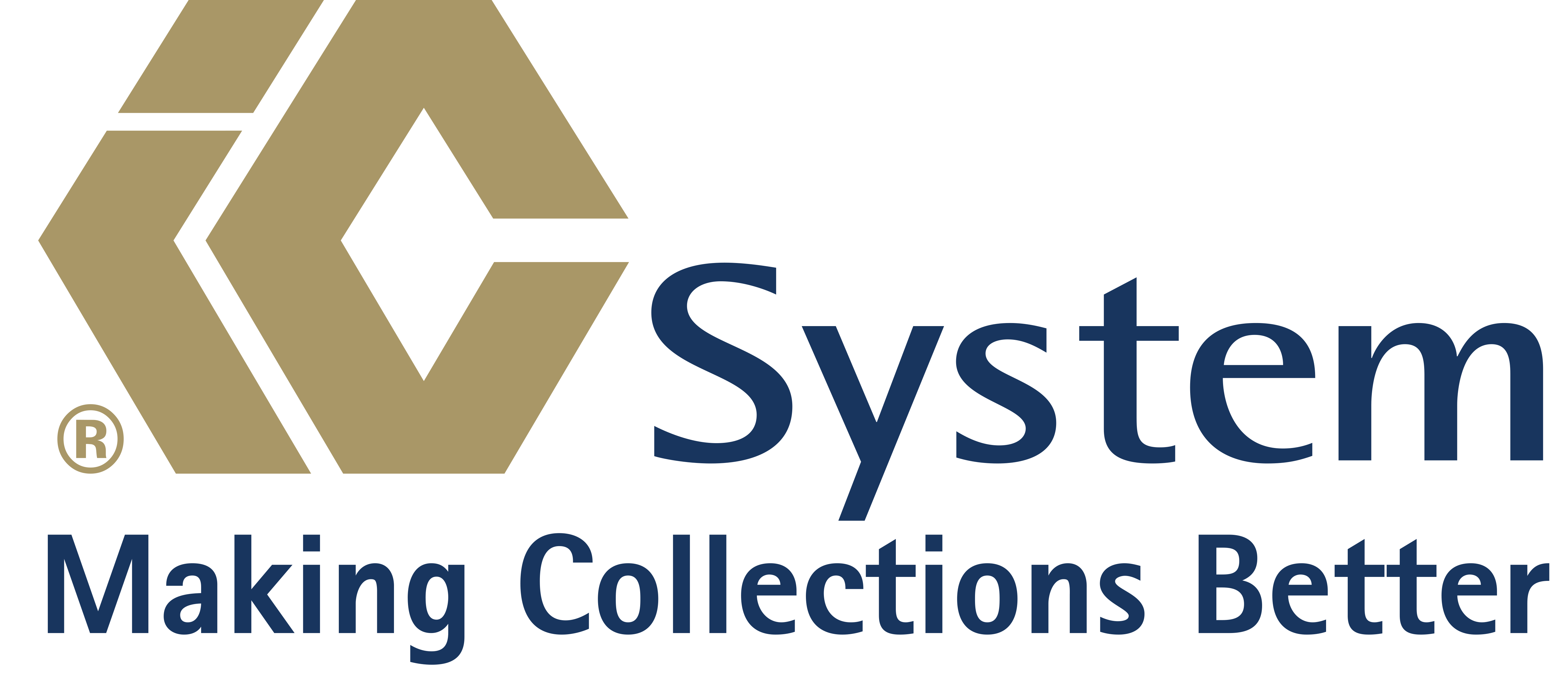 IC system logo