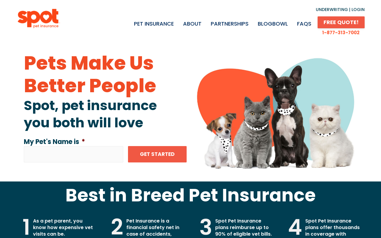 Spot Pet Insurance hero